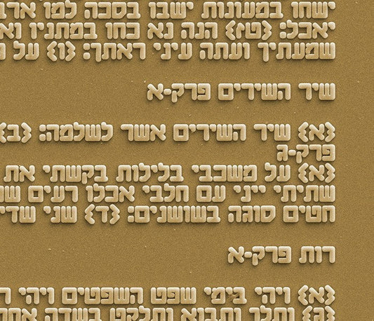 שרשרת מגן דוד עדין עם ננו תנ"ך