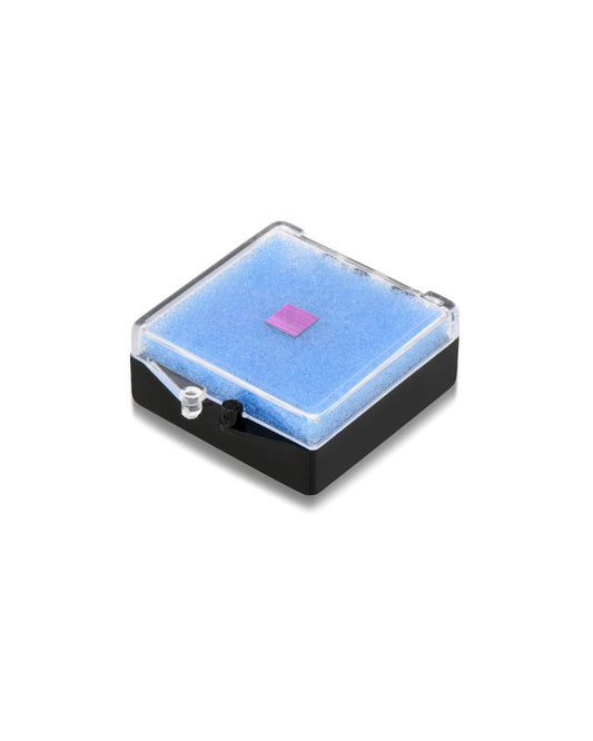 ג'רוזלם ננו תנ"ך- השבב המקורי